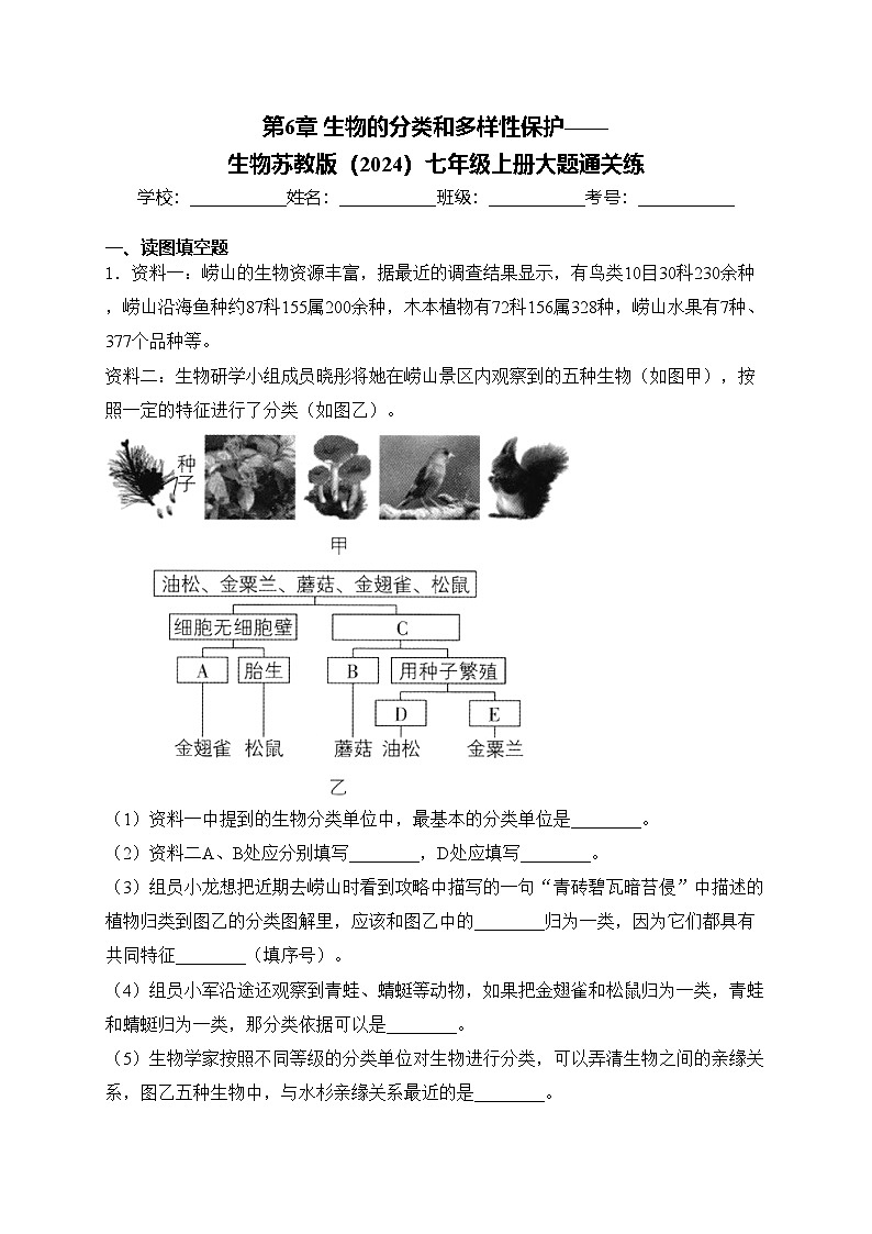 第6章 生物的分类和多样性保护——生物苏教版（2024）七年级上册大题通关练(含答案)第1页