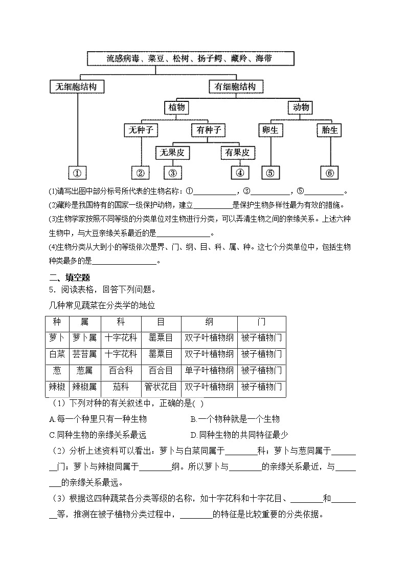 第6章 生物的分类和多样性保护——生物苏教版（2024）七年级上册大题通关练(含答案)第3页