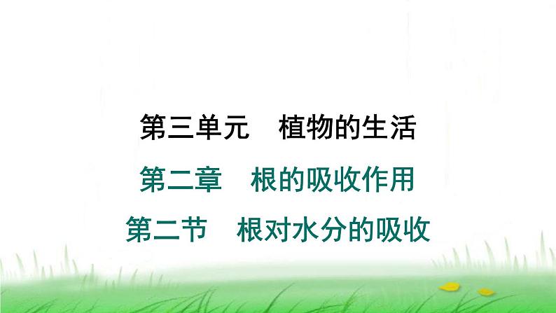 冀少版八年级生物上册第三单元第二节根对水分的吸收课件第1页