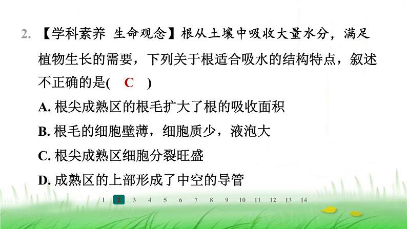 冀少版八年级生物上册第三单元第二节根对水分的吸收课件第3页