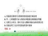 冀少版八年级生物上册第三单元第二节光合作用的原料课件