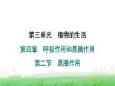 冀少版八年级生物上册第三单元第二节蒸腾作用课件