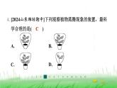 冀少版八年级生物上册第三单元第二节蒸腾作用课件