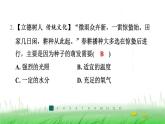 冀少版八年级生物上册第三单元第二节种子萌发的条件课件