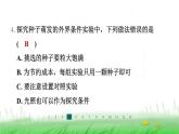 冀少版八年级生物上册第三单元第二节种子萌发的条件课件