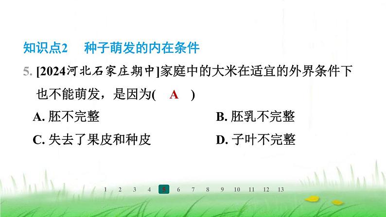 冀少版八年级生物上册第三单元第二节种子萌发的条件课件第6页