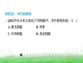 冀少版八年级生物上册第三单元第三节光合作用的场所课件