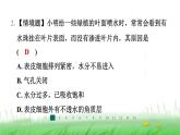 冀少版八年级生物上册第三单元第三节光合作用的场所课件