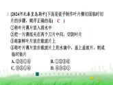 冀少版八年级生物上册第三单元第三节光合作用的场所课件
