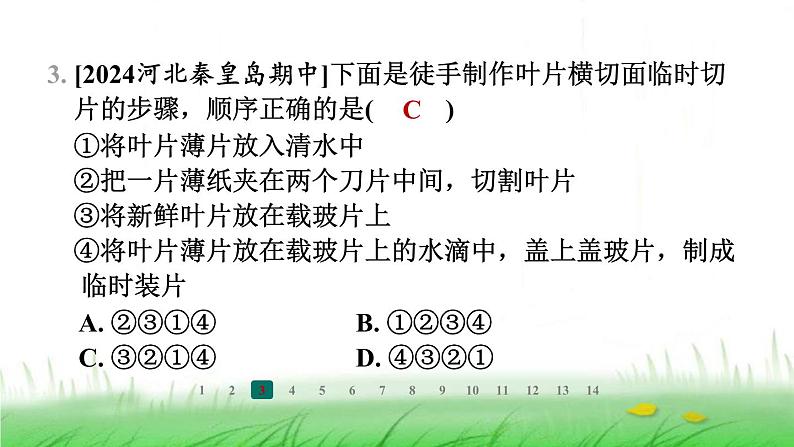 冀少版八年级生物上册第三单元第三节光合作用的场所课件第4页