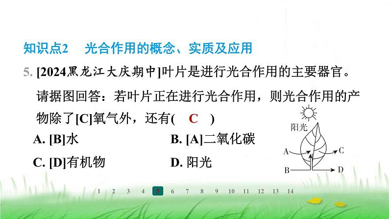 冀少版八年级生物上册第三单元第三节光合作用的场所课件第7页