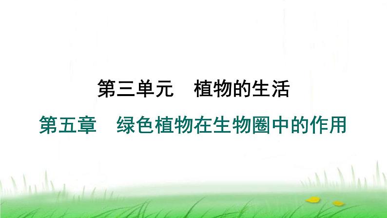 冀少版八年级生物上册第三单元第三节绿色植物在生物圈中的作用课件01