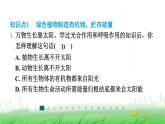 冀少版八年级生物上册第三单元第三节绿色植物在生物圈中的作用课件
