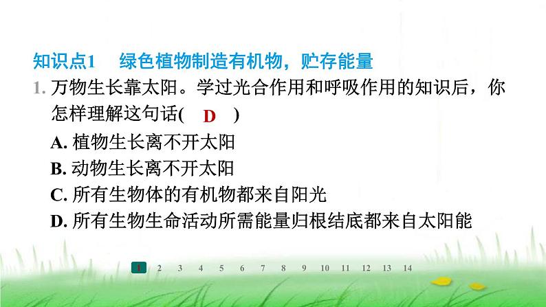 冀少版八年级生物上册第三单元第三节绿色植物在生物圈中的作用课件02