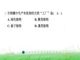 冀少版八年级生物上册第三单元第三节绿色植物在生物圈中的作用课件