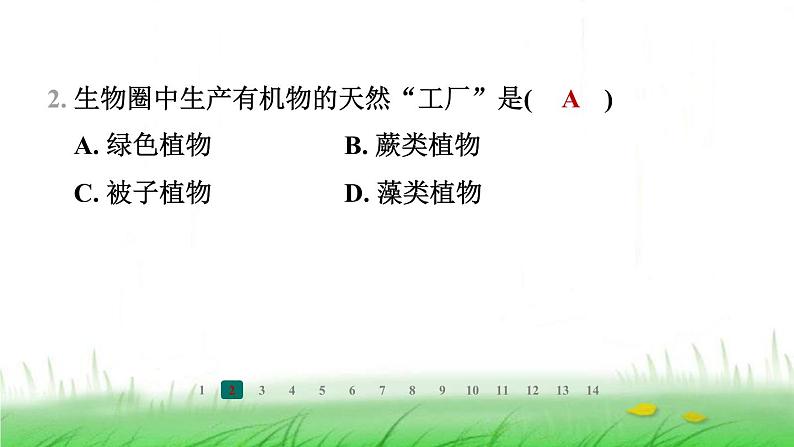 冀少版八年级生物上册第三单元第三节绿色植物在生物圈中的作用课件03