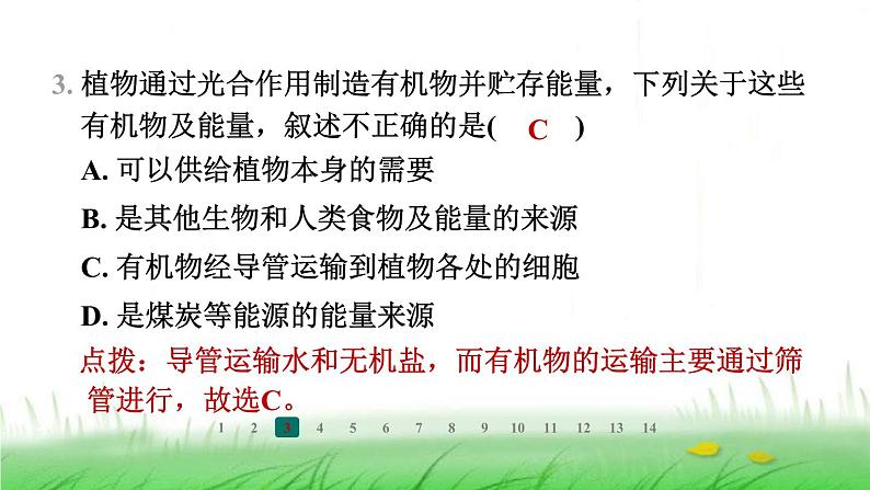 冀少版八年级生物上册第三单元第三节绿色植物在生物圈中的作用课件04