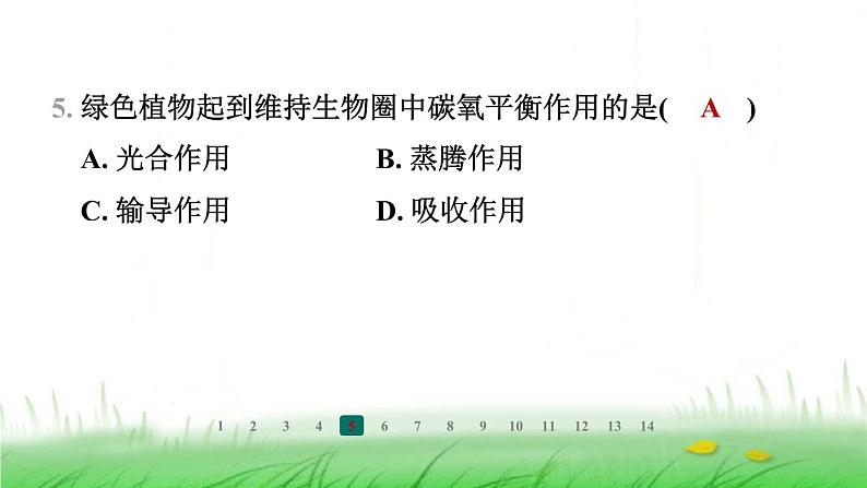 冀少版八年级生物上册第三单元第三节绿色植物在生物圈中的作用课件06