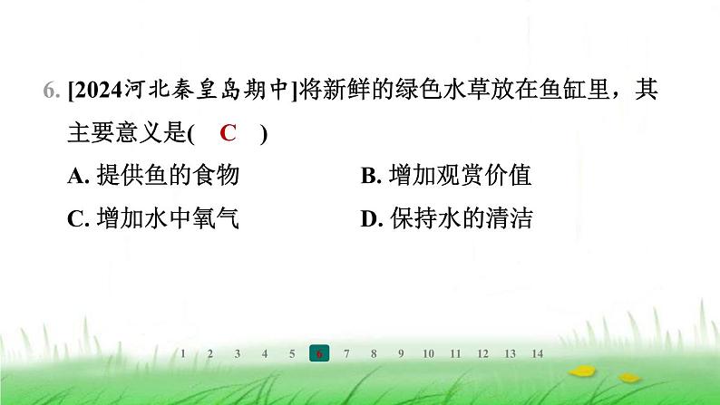 冀少版八年级生物上册第三单元第三节绿色植物在生物圈中的作用课件07