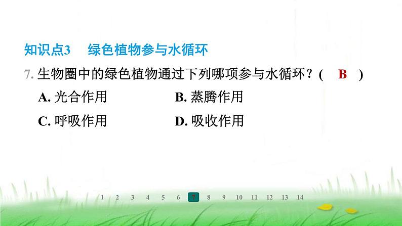 冀少版八年级生物上册第三单元第三节绿色植物在生物圈中的作用课件08