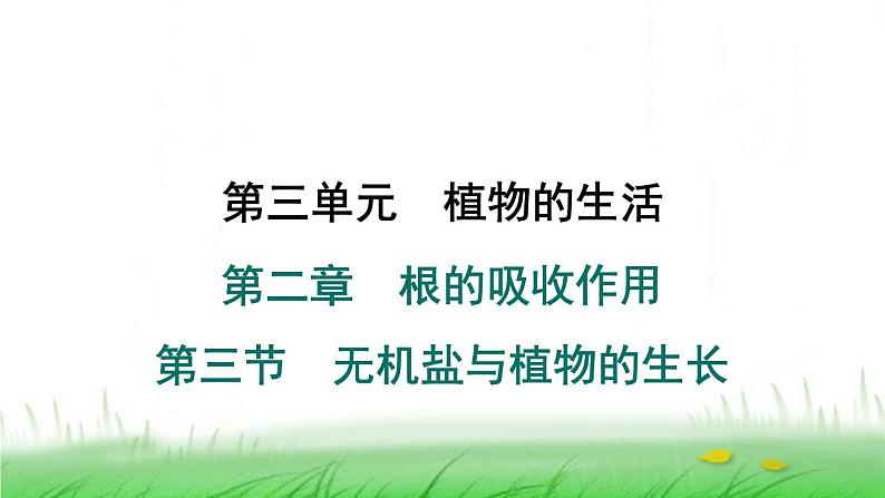 冀少版八年级生物上册第三单元第三节无机盐与植物的生长课件第1页