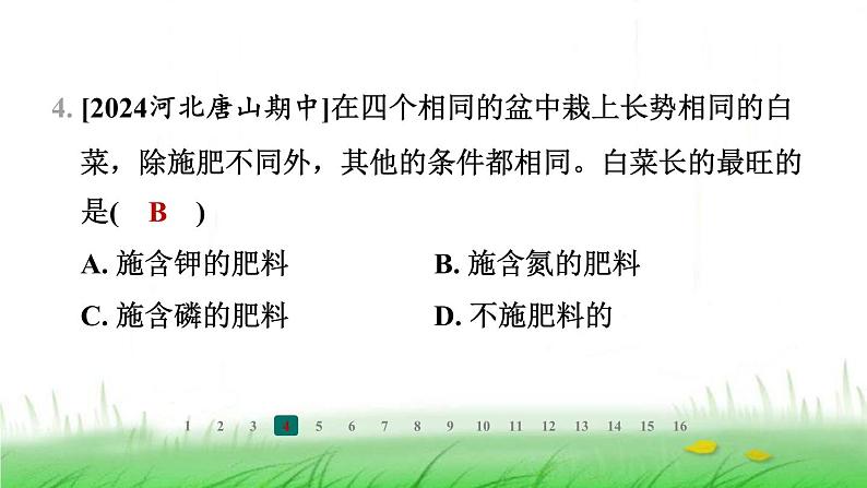 冀少版八年级生物上册第三单元第三节无机盐与植物的生长课件第5页