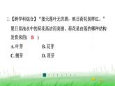 冀少版八年级生物上册第三单元第三节芽的发育课件