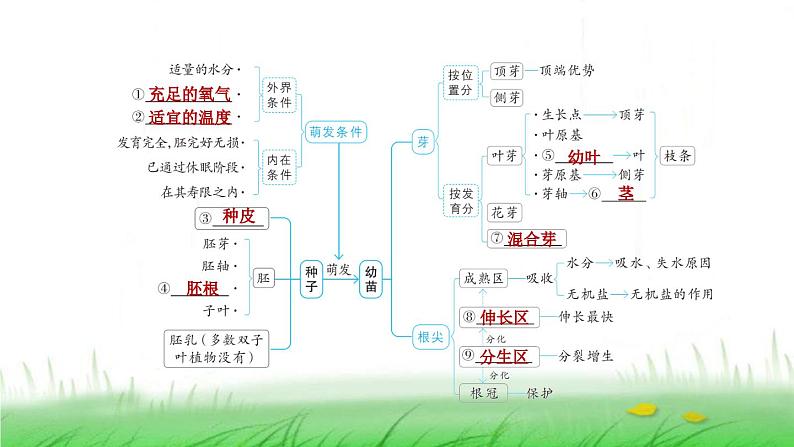 冀少版八年级生物上册第三单元第一、二章复习提升课件第2页