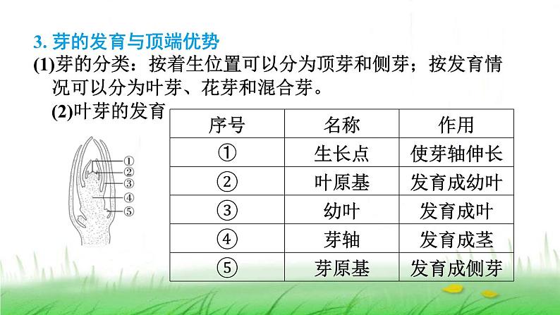 冀少版八年级生物上册第三单元第一、二章复习提升课件第8页