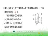 冀少版八年级生物上册第三单元第一、二章整合练课件