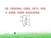 冀少版八年级生物上册第三单元第一、二章整合练课件