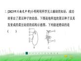 冀少版八年级生物上册第三单元第一、二章整合练课件