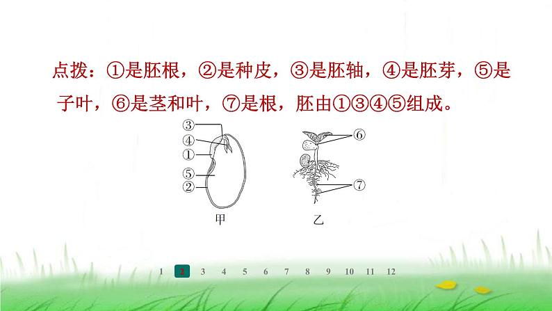 冀少版八年级生物上册第三单元第一、二章整合练课件第6页