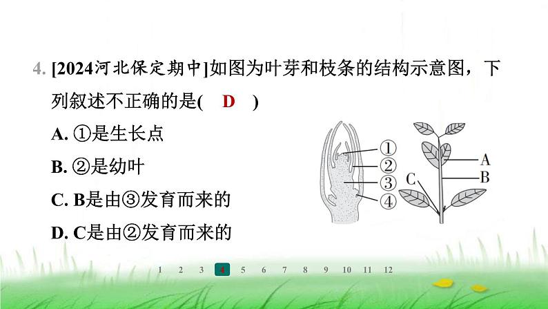 冀少版八年级生物上册第三单元第一、二章整合练课件第8页