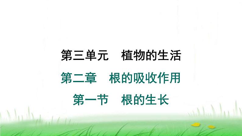 冀少版八年级生物上册第三单元第一节根的生长课件第1页