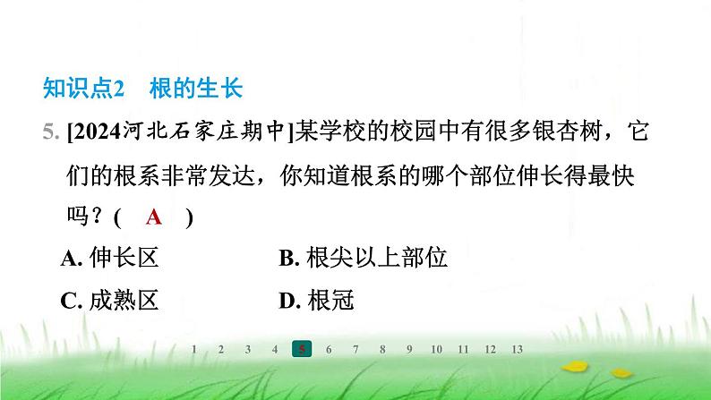 冀少版八年级生物上册第三单元第一节根的生长课件第7页