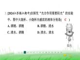 冀少版八年级生物上册第三单元第一节光合作用的产物课件