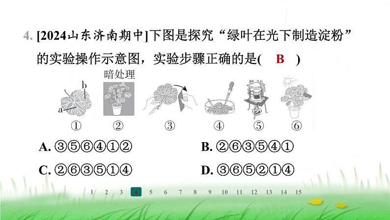 冀少版八年级生物上册第三单元第一节光合作用的产物课件第5页