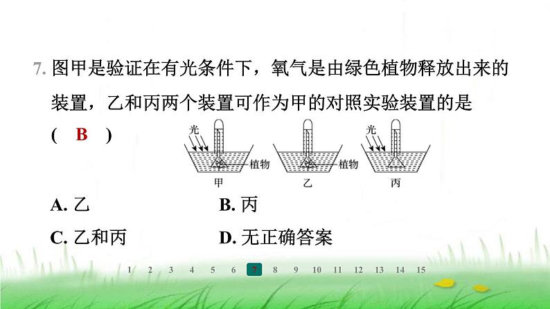 冀少版八年级生物上册第三单元第一节光合作用的产物课件第8页