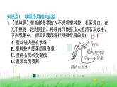 冀少版八年级生物上册第三单元第一节呼吸作用课件
