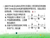 冀少版八年级生物上册第三单元第一节呼吸作用课件