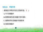 冀少版八年级生物上册第三单元第一节呼吸作用课件