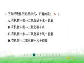 冀少版八年级生物上册第三单元第一节呼吸作用课件