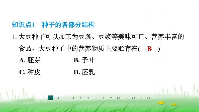 冀少版八年级生物上册第三单元第一节种子萌发的过程课件第2页