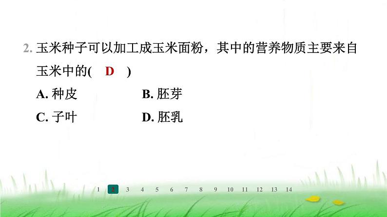 冀少版八年级生物上册第三单元第一节种子萌发的过程课件第3页