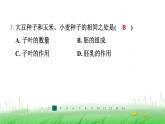 冀少版八年级生物上册第三单元第一节种子萌发的过程课件