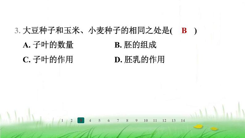 冀少版八年级生物上册第三单元第一节种子萌发的过程课件第4页