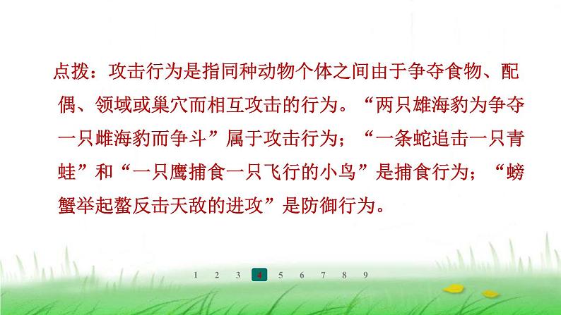 冀少版八年级生物上册第四单元第二节动物行为的类型课件第6页