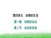 冀少版八年级生物上册第四单元第二节运动的完成课件