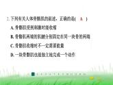 冀少版八年级生物上册第四单元第二节运动的完成课件